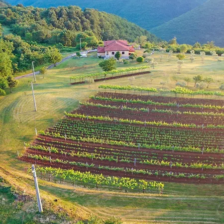Solitude- Luxury Retreat Surrounded By Nature Near Labin Apartment